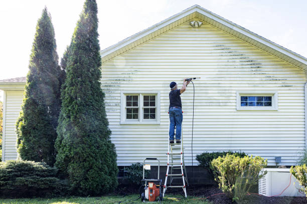 Best Roof Washing  in Paul, ID